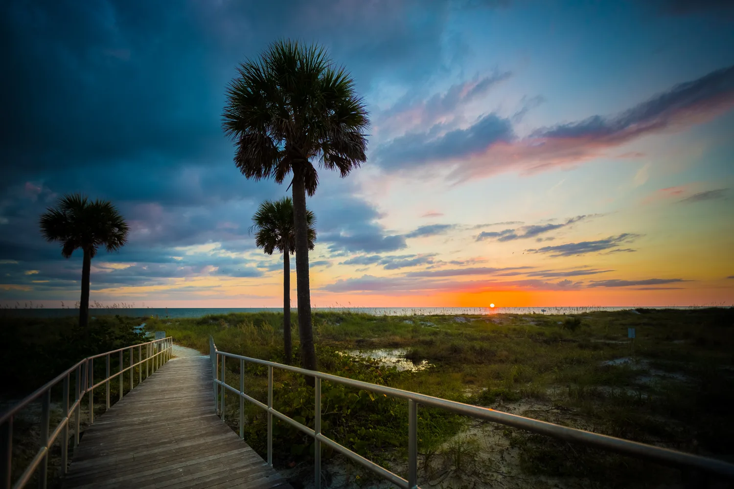 Boardwalk winding past palm trees toward the beach at sunset